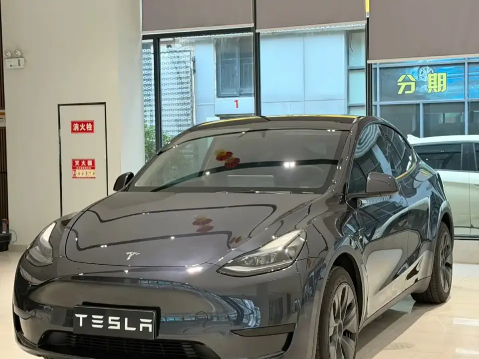 Tesla Model Y Rear-Wheel Drive Version 2024