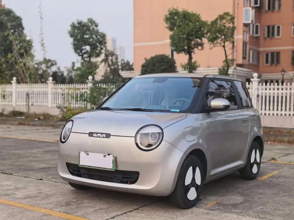 Changan Qiyuan Changan Lumin Model 205km Fragrant Edition 2024