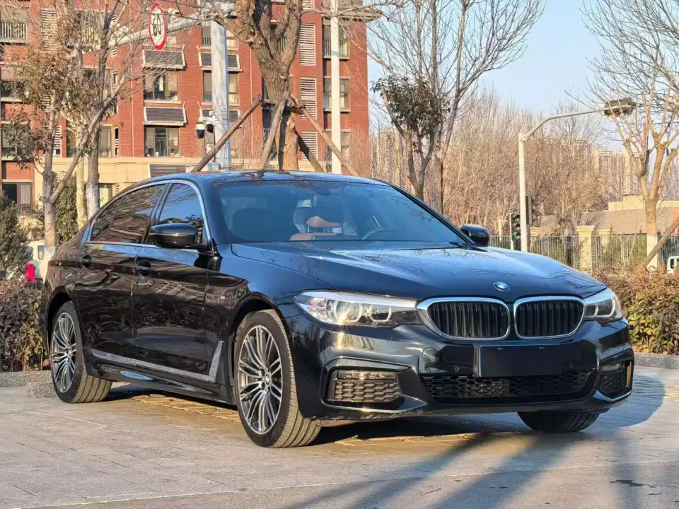 BMW 5 Series 530Li Leading M Sport Package 2019