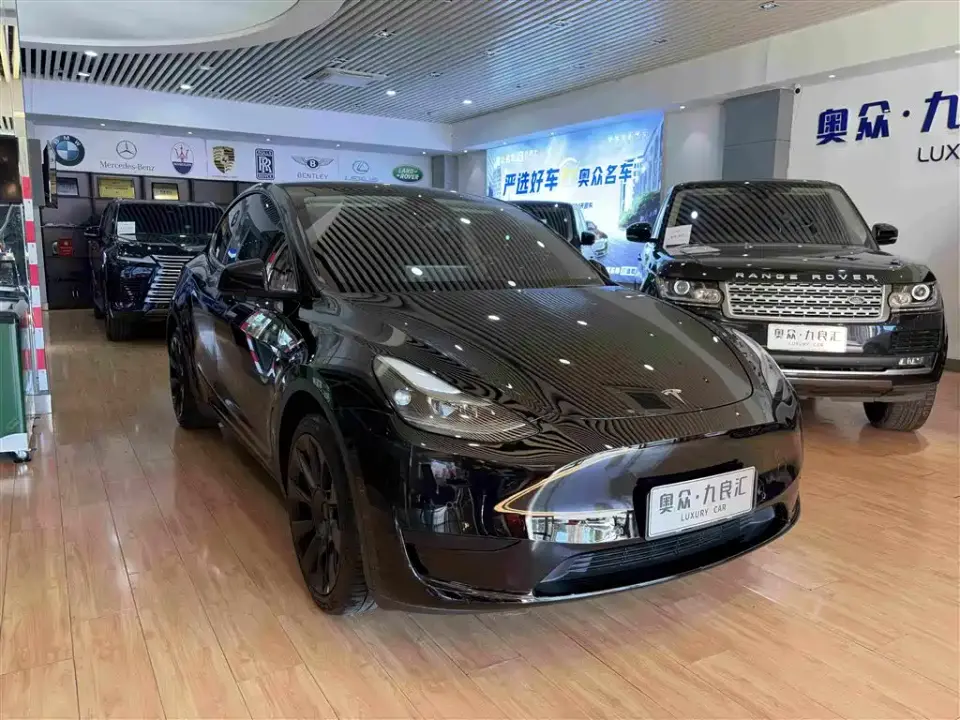 Tesla Model Y Rear-Wheel Drive Version 2022