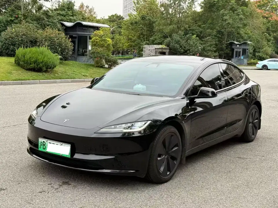 Tesla Model 3 Model Rear-Wheel Drive Edition 2025