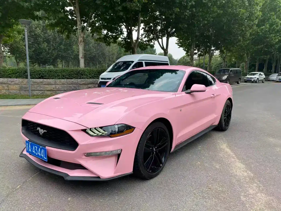 Ford Mustang Model 2.3L EcoBoost 2019
