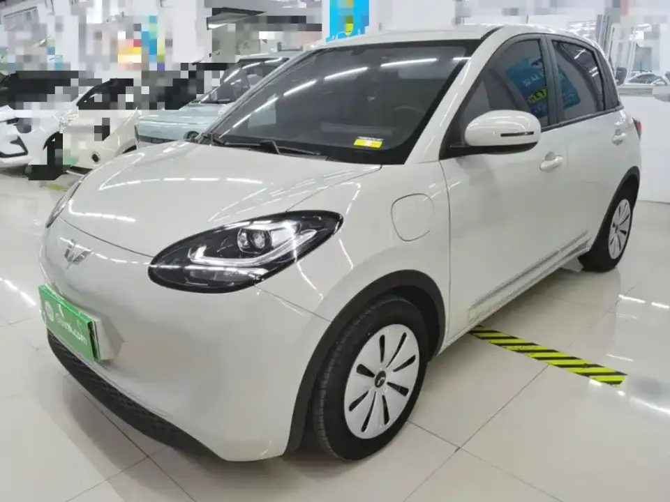 Wuling Motors Wuling Bingo 333km Quick Enjoy Version 2024