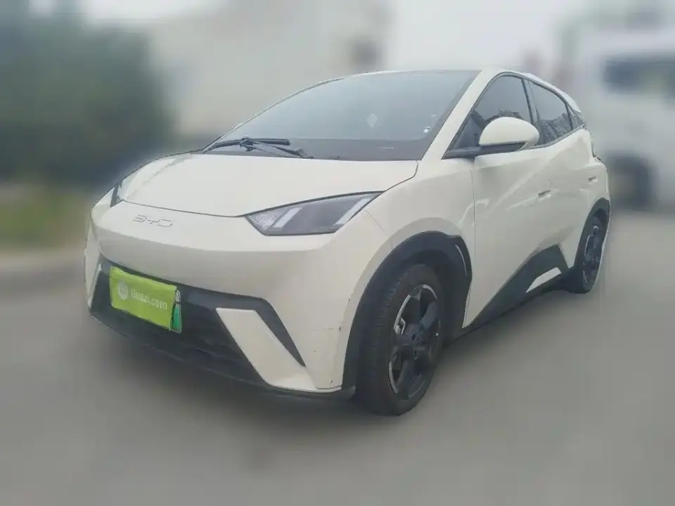 BYD Seagull Freedom Edition 2023