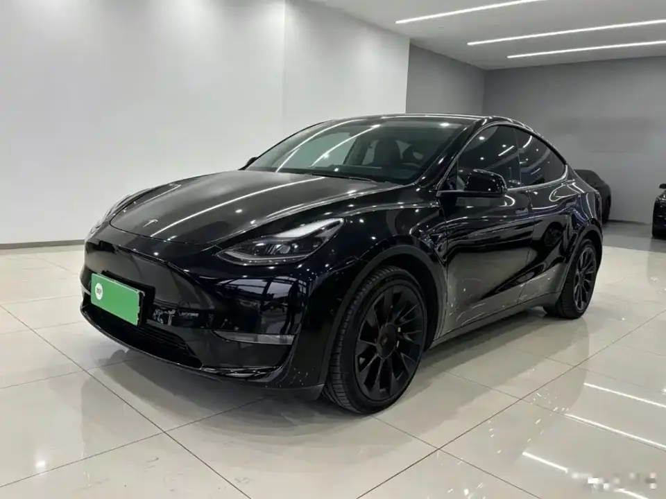Tesla Model Y Standard Range Rear-Wheel Drive 2021