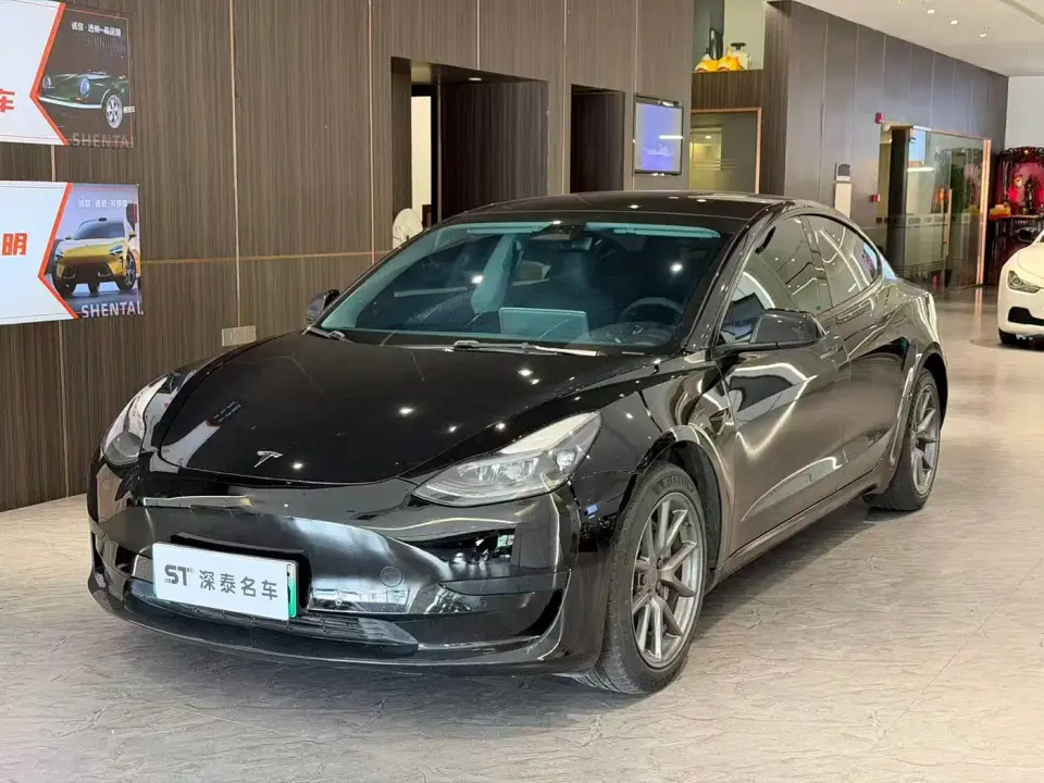 Tesla Model 3 Model Rear-Wheel Drive Version 2022