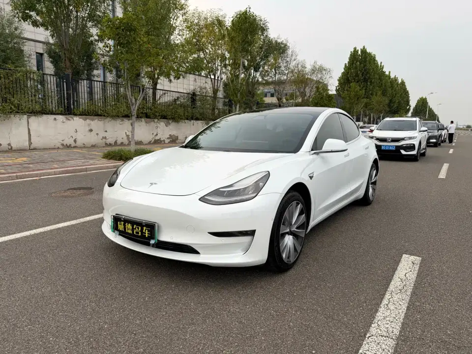 Tesla Model 3 (Import) Long Range RWD Version 2019
