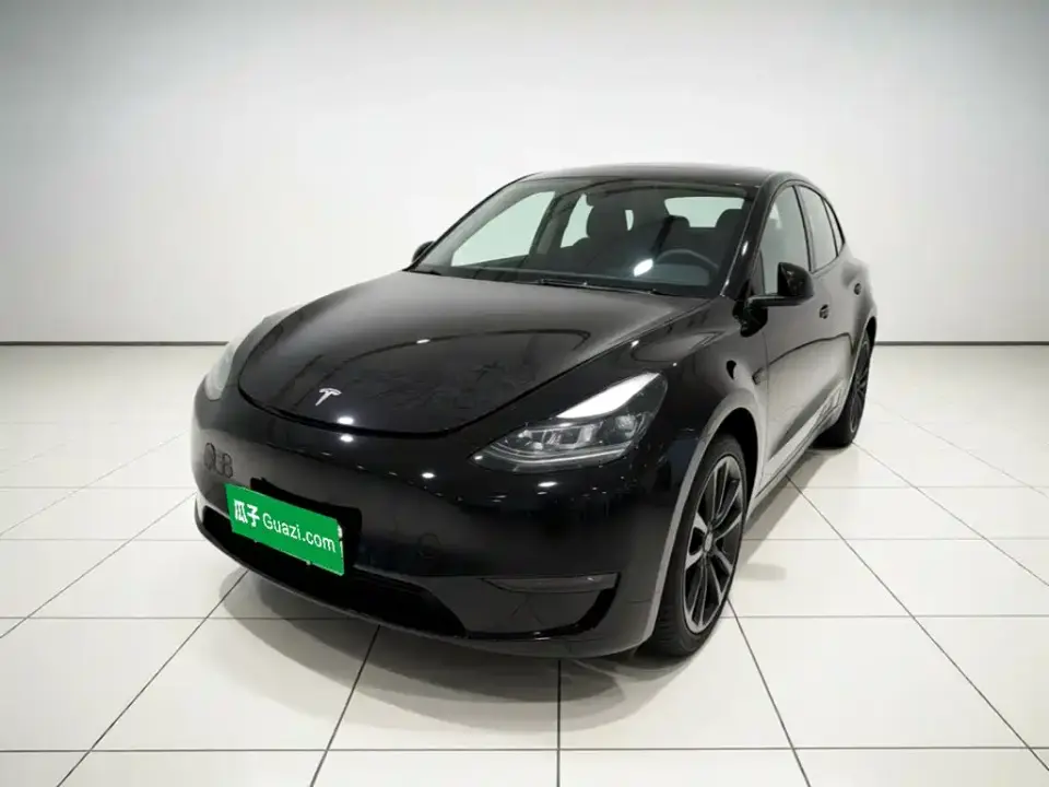 Tesla Model Y Performance High-Performance AWD 2022