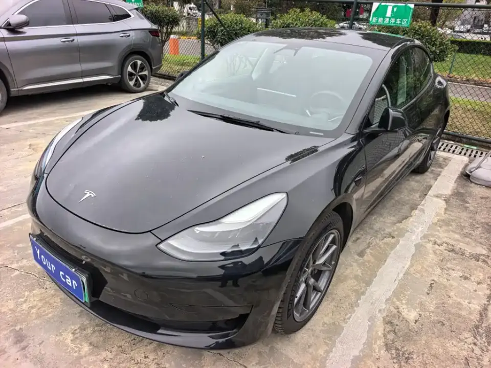 Tesla Model 3 Facelift Standard Range RWD Upgrade 3D1 2021