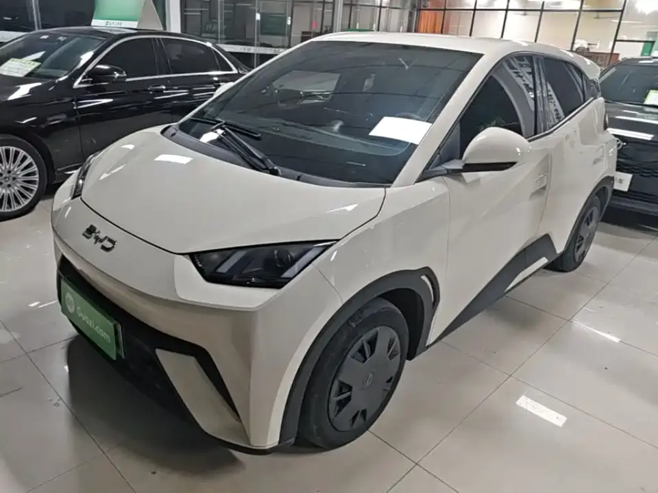 BYD Seagull Glory Edition 305km Vitality Edition 2024