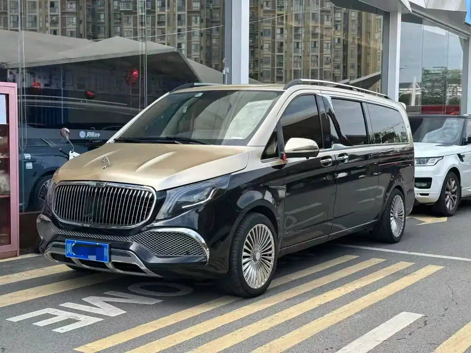 Mercedes-Benz Vito 2.0T Business Edition China VI 2020