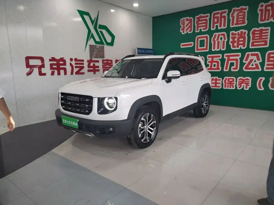 Haval Big Dog 1.5T DCT 2WD Border Collie - Wangcai Edition 2022