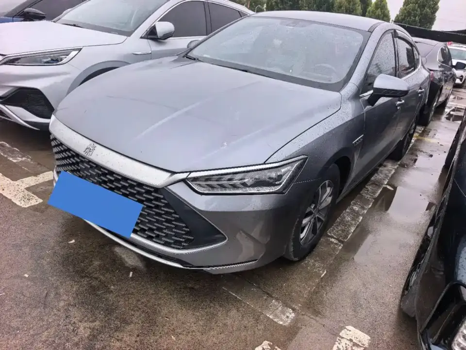 BYD Qin PLUS Glory Edition DM-i 55KM Leading 2024