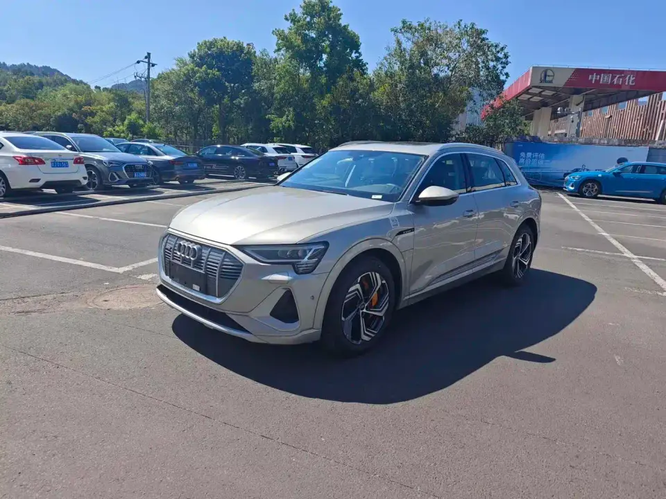 Audi e-tron 50 quattro Exclusive Selection 2025