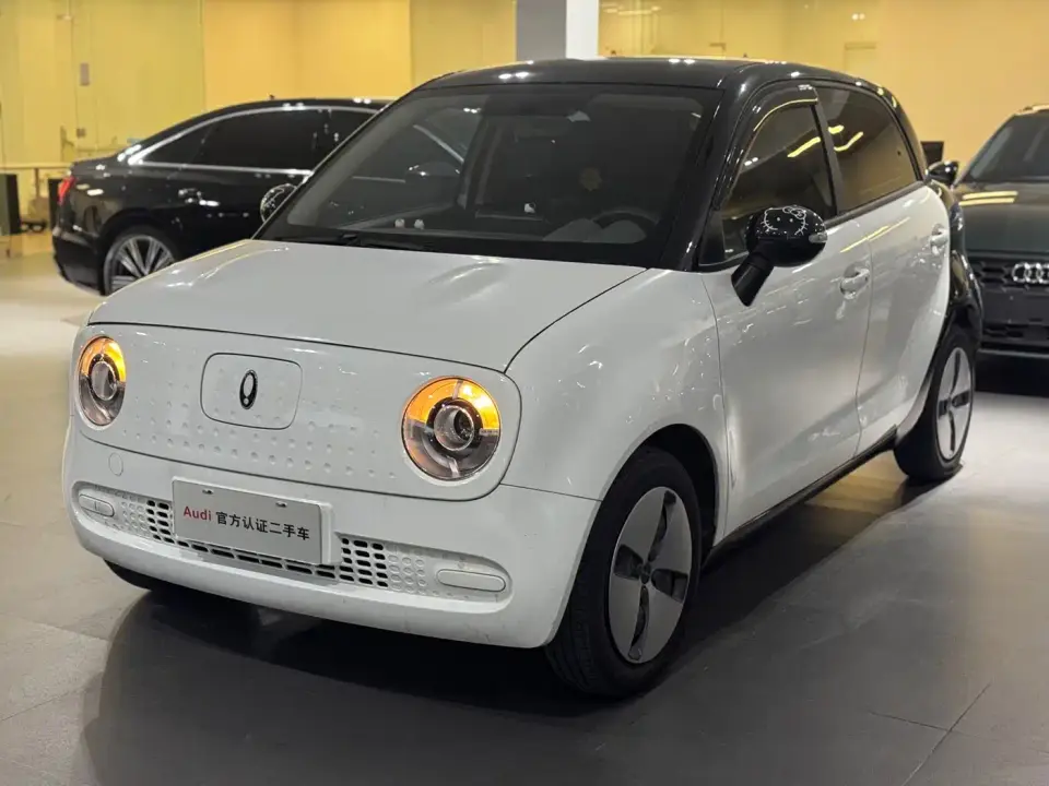 ORA Black Cat 301km Standard 2021