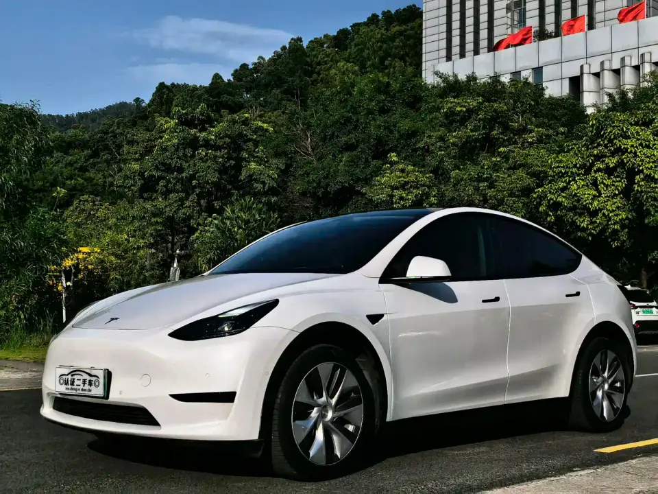 Tesla Model Y Rear-Wheel Drive Version 2022