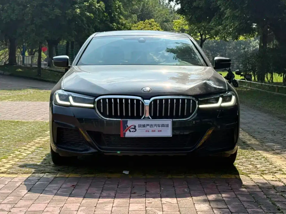 BMW 5 Series 530Li Leading M Sport Package 2021