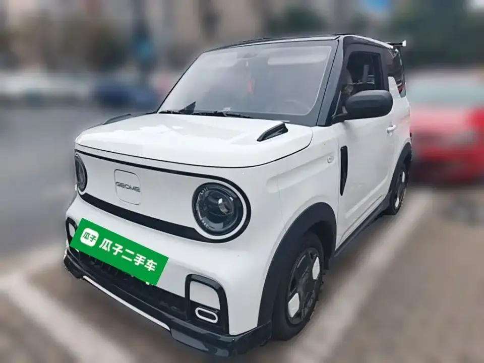 Geely Galaxy Panda Model Year 210km Panda Kart 2026