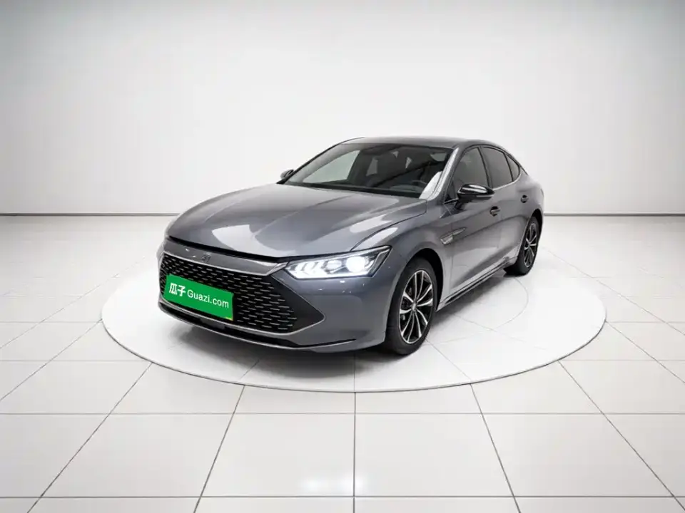 BYD Qin PLUS Champion Edition DM-i 55KM Leading 2023