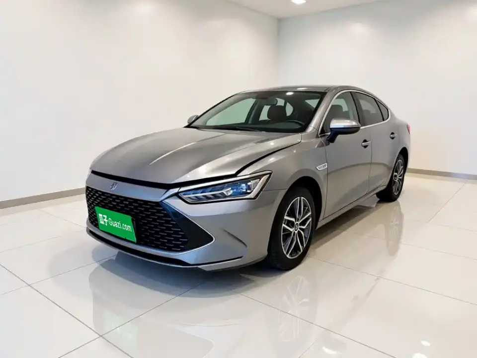 BYD Qin PLUS Glory Edition DM-i 120KM Surpass 2024