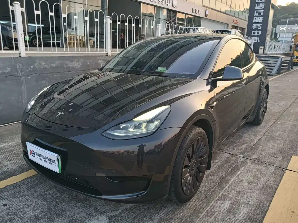 Tesla Model Y Rear-Wheel Drive Version 2024