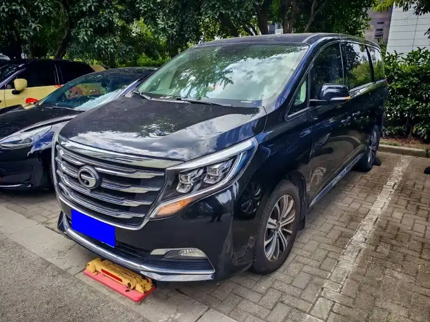 GAC Trumpchi M8 320T Premium Edition 2019