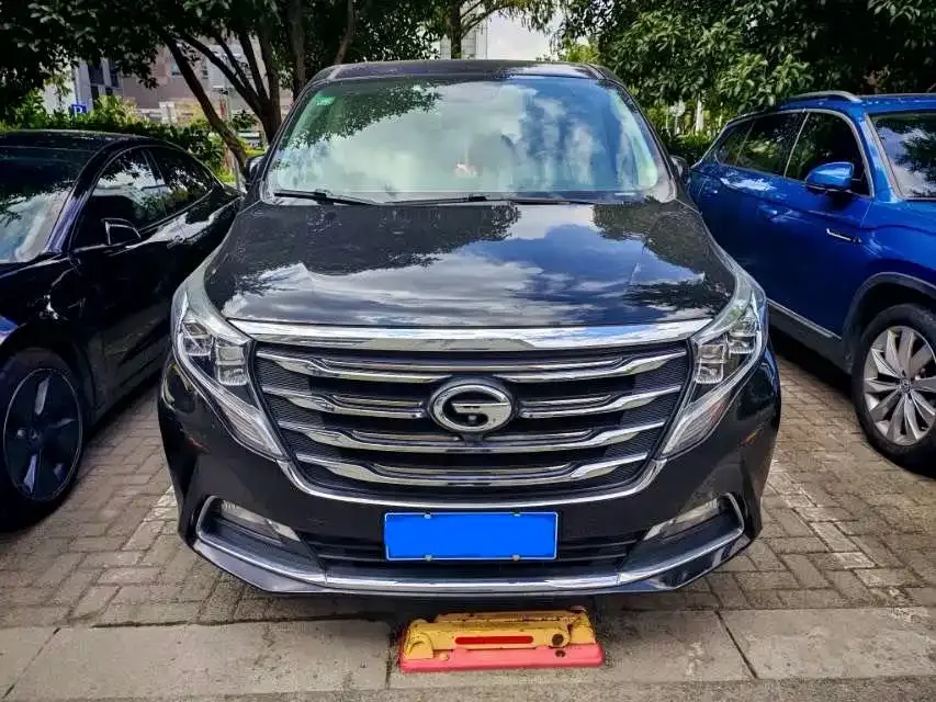 GAC Trumpchi M8 320T Premium Edition 2019 — фото 2