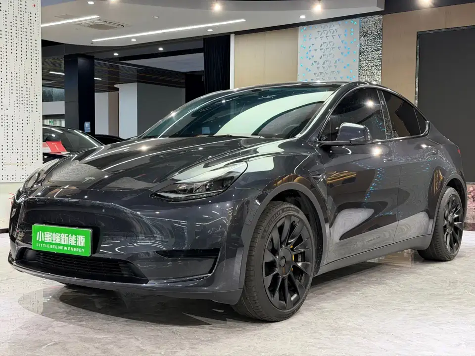 Tesla Model Y Rear-Wheel Drive Version 2024