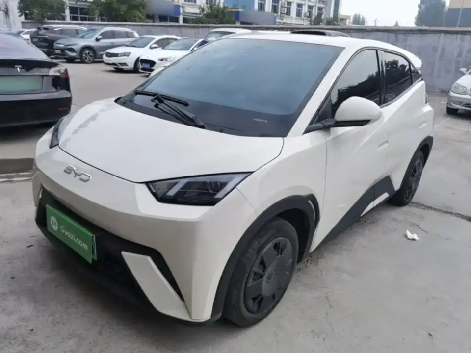 BYD Seagull 305km Vitality 2025