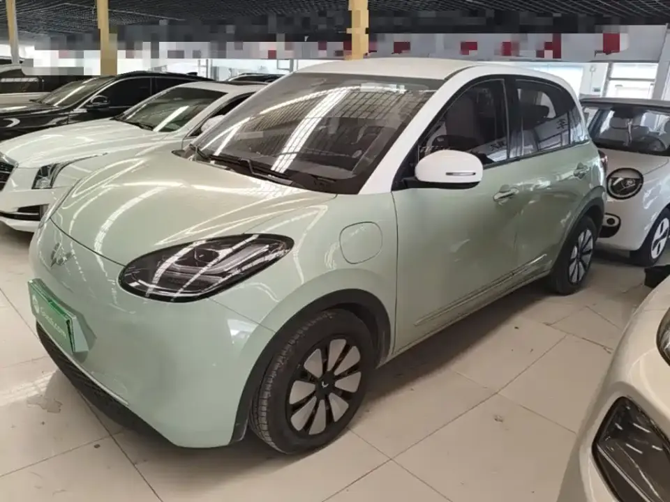 Wuling Motors Wuling Bingo 410km Lingxi Premium Edition 2024