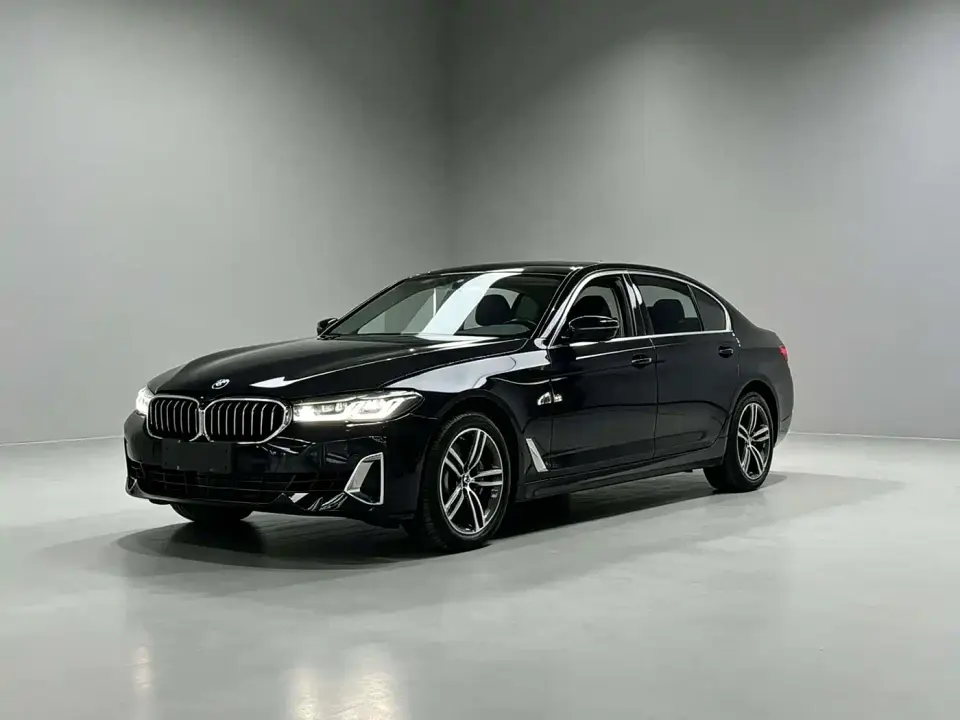 BMW 5 Series 530Li Leading Luxury Package 2020