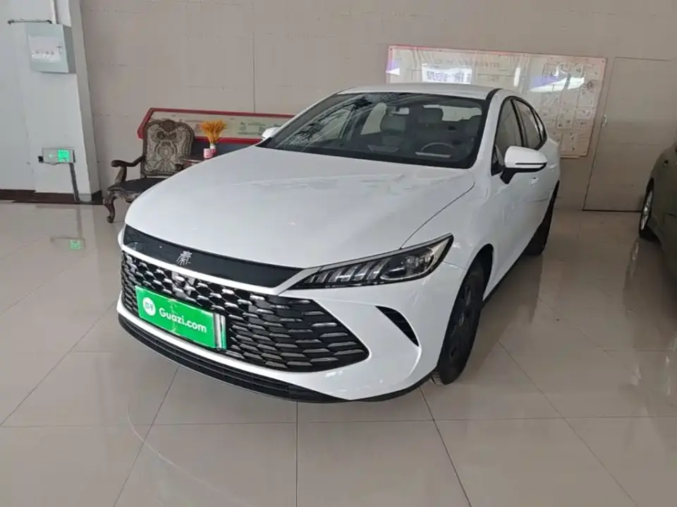 BYD Qin PLUS DM-i Smart Drive 55KM Leader 2025