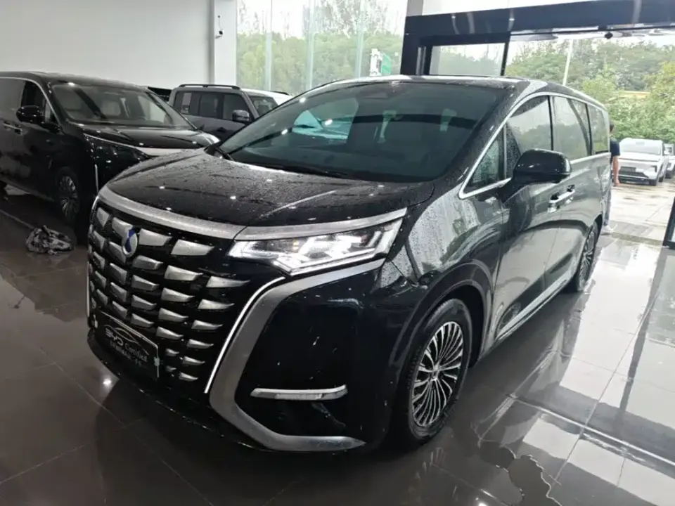 Denza D9 DM-i 980 AWD Flagship 2024