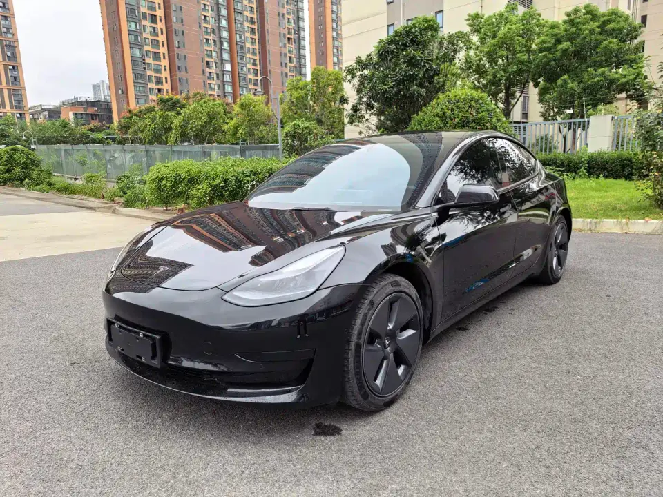 Tesla Model 3 Model Rear-Wheel Drive Version 2022