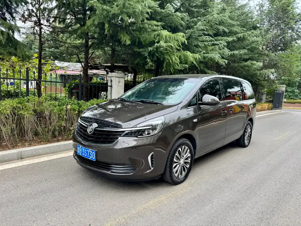 Buick GL8 Land Business Class 652T Comfort 2021
