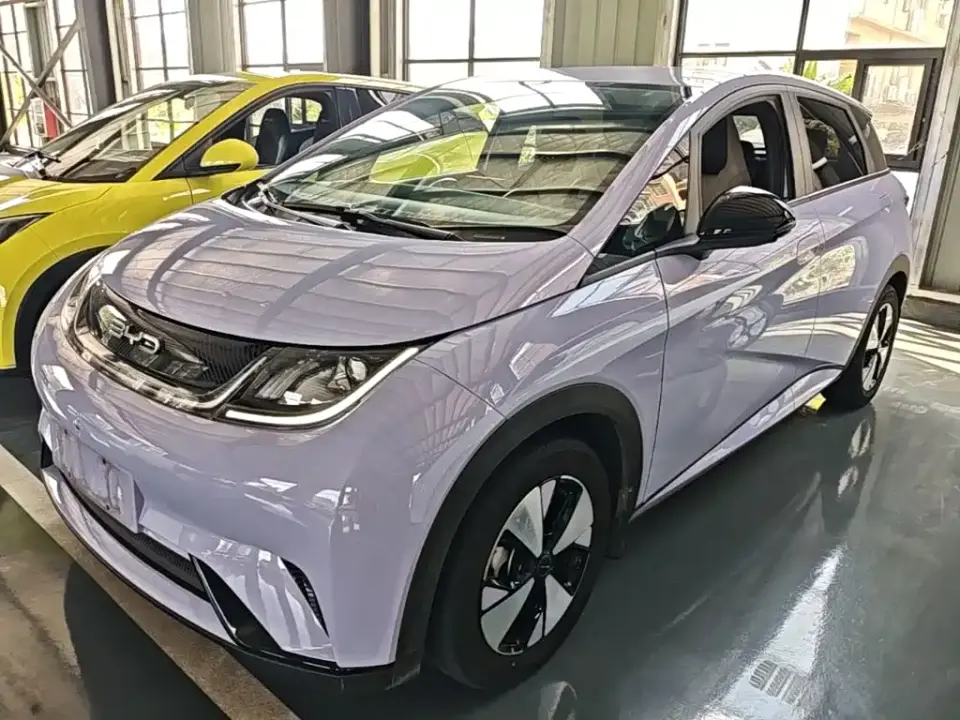 BYD Dolphin 420km Freedom Edition 2023