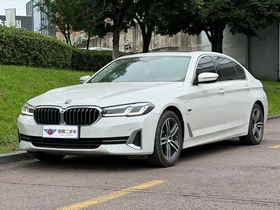 BMW 5 Series New Energy 535Le Luxury Package 2021