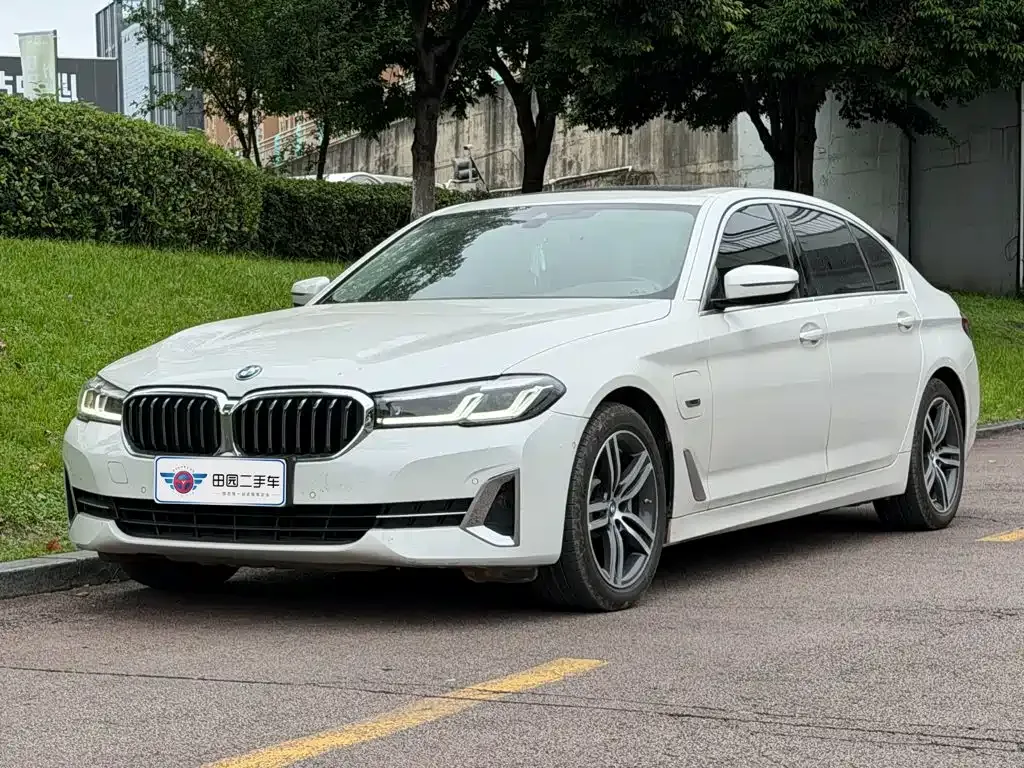 BMW 5 Series New Energy 535Le Luxury Package 2021