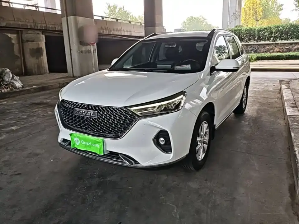 Haval M6 PLUS 1.5T DCT Liu Yan Co-branded Edition 2022