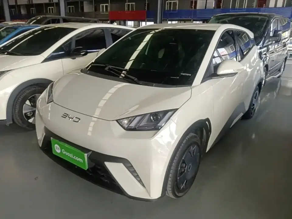 BYD Seagull Glory Edition 305km Vitality Edition 2024