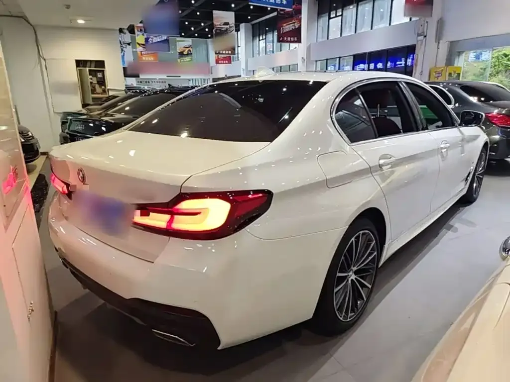 BMW 5 Series 530Li Leading M Sport Package 2023 — фото 7