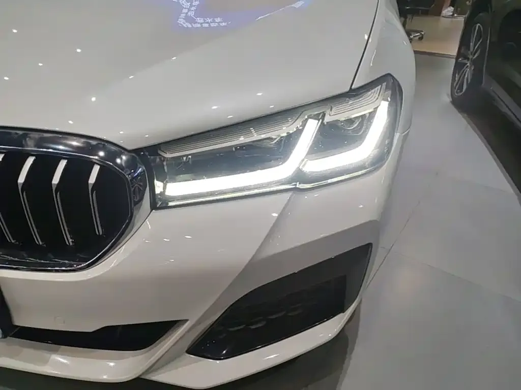 BMW 5 Series 530Li Leading M Sport Package 2023 — фото 24