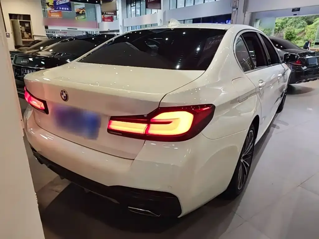 BMW 5 Series 530Li Leading M Sport Package 2023 — фото 6