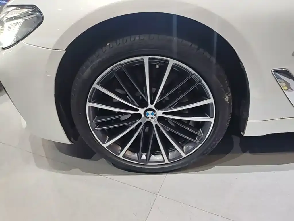 BMW 5 Series 530Li Leading M Sport Package 2023 — фото 23
