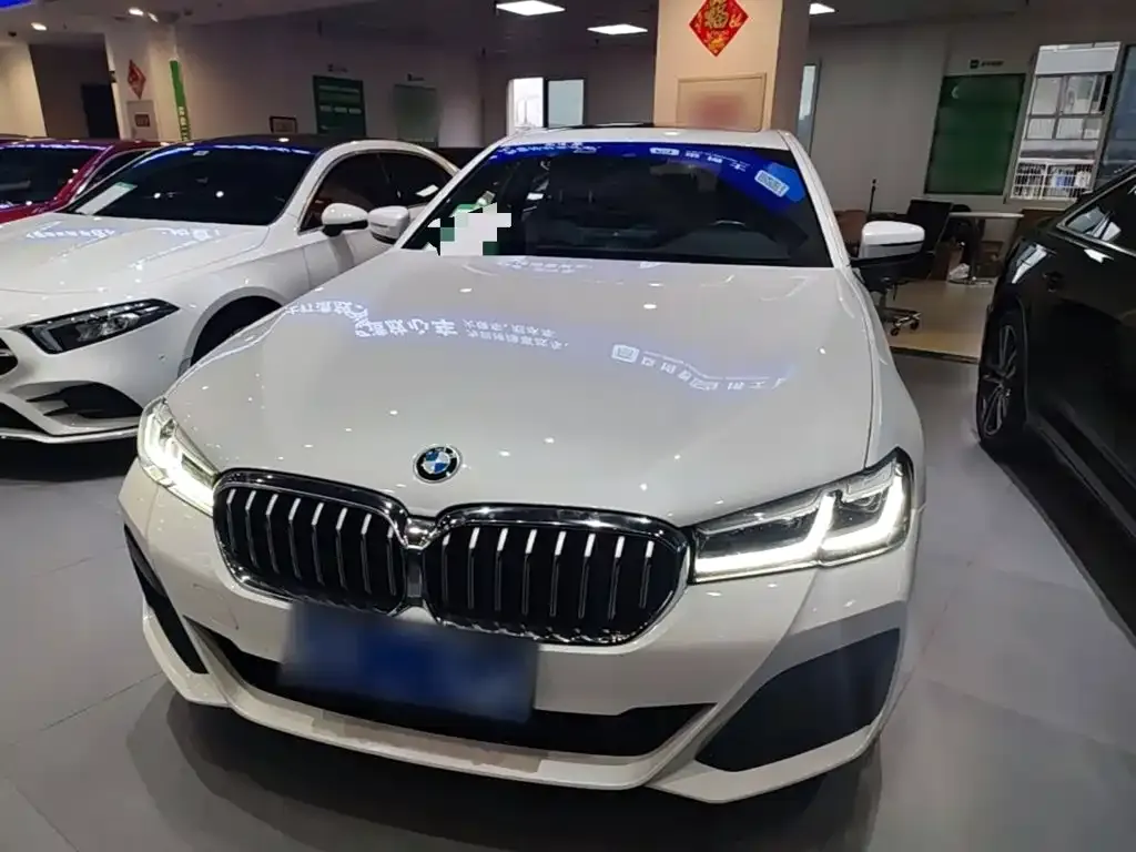 BMW 5 Series 530Li Leading M Sport Package 2023 — фото 3