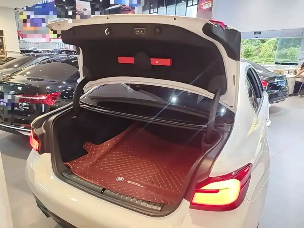 BMW 5 Series 530Li Leading M Sport Package 2023 — фото 19