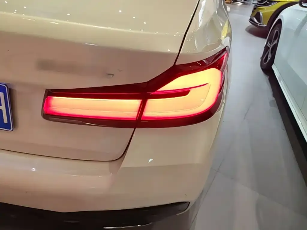 BMW 5 Series 530Li Leading M Sport Package 2023 — фото 8