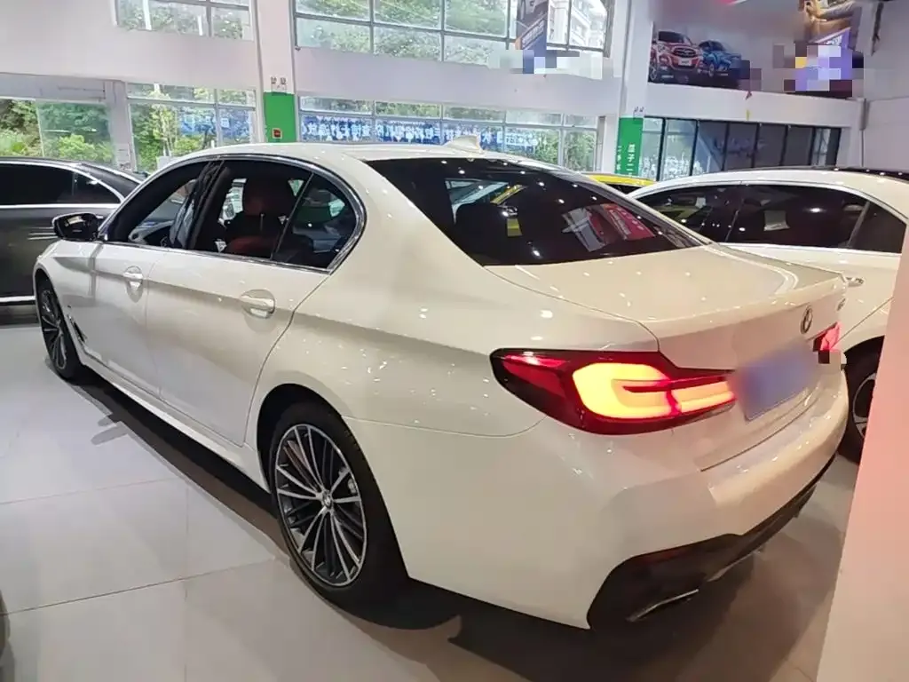 BMW 5 Series 530Li Leading M Sport Package 2023 — фото 5