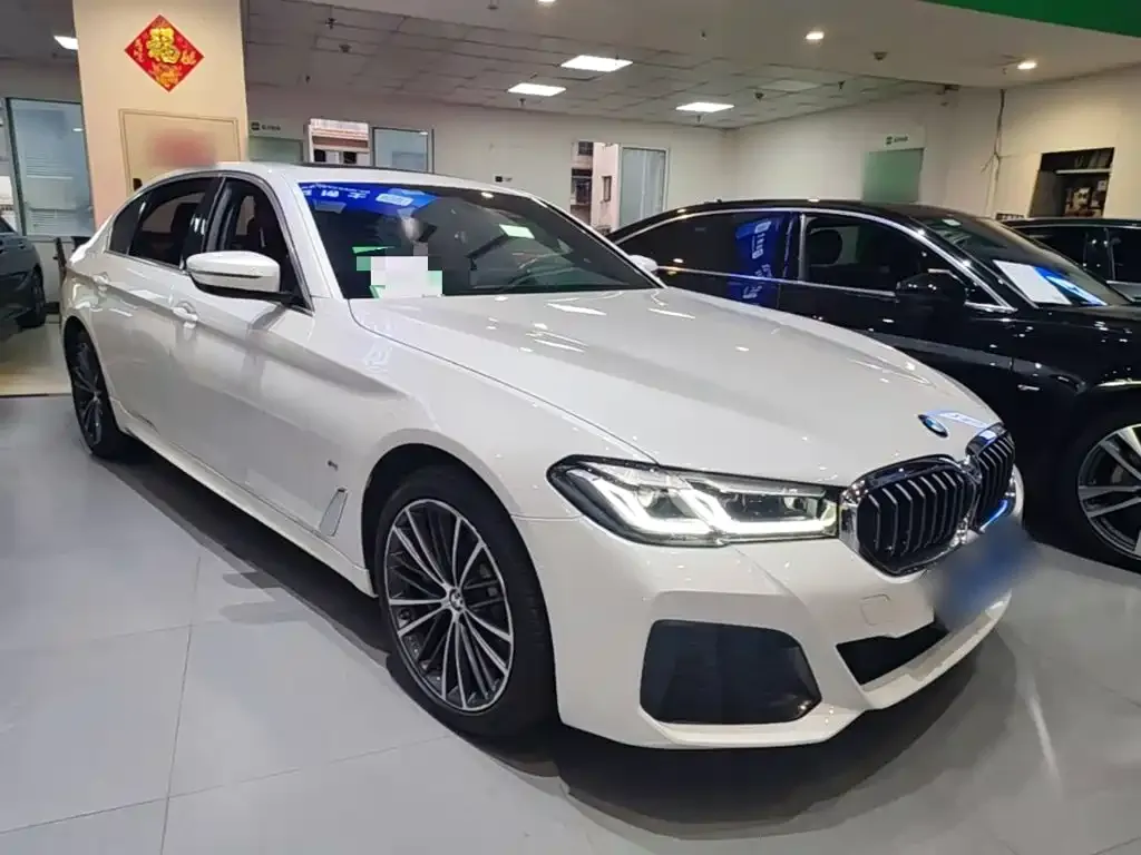 BMW 5 Series 530Li Leading M Sport Package 2023 — фото 4