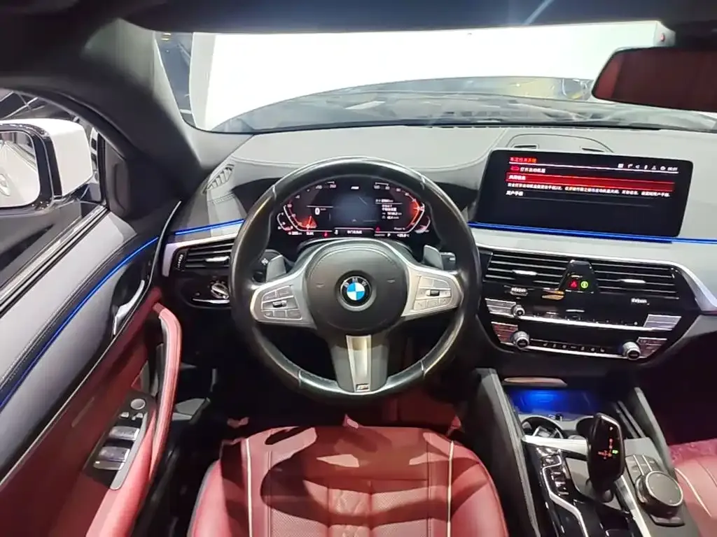 BMW 5 Series 530Li Leading M Sport Package 2023 — фото 11